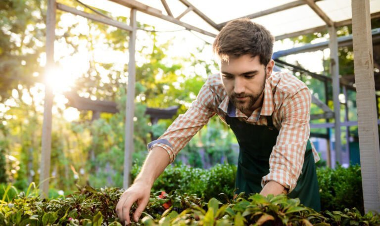 des personnes travaillant dans la nature