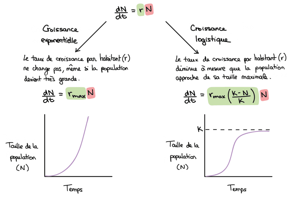 Quel est le concept de valeur terminale selon Gordon Shapiro