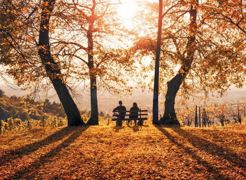 Quelle est la meilleure façon de souhaiter une bonne après-midi à mon amour